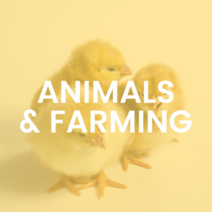 Animals & Farming